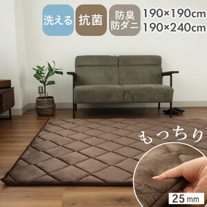 y11/1|Cg3{z􂦂 ~zc 2 3 Ɍ  25mm 2w ӂ  RۖhL h_j h {[ tl J[ybg O O}bg ~ LeBO BR u