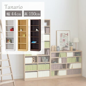 {I I }KWbN bN [ { VFt  WH zCg  BE x[W  BR uE F Ж  Ǖt ȃXy[X rO  i` Jg[ JtF 44cm