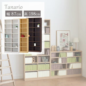 {I I }KWbN bN [ { VFt  WH zCg  BE x[W  BR uE F Ж  Ǖt ȃXy[X rO  i` Jg[ JtF 87cm