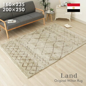 EBgO h | GWvg 160x235cm 200x250cm ` 2 3 J[ybg ~ EBgD胉O O O}bg EBgD EBgJ[ybg  k 􉽊w bJ