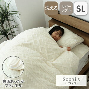 |zcJo[ SL VOO 150×210cm |zcJo[ |zcJo[ zcJo[ ѕz ~p ~  g {A tl WK[h  i` P[u ҂ 􂦂 E