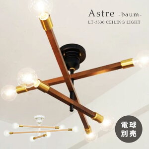 6V[OCg AXg|oE|LT-3530 | Ɩ Cg  dC LED y_g ݂艺 t V ԐڏƖ  JtF WH zCg  IV AC{[ N[F BK ubN  i