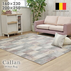 EBgO J2 | xM[ 160x230 200x250 ` 2 3 50mbg J[ybg ~ EBgD胉O O O}bg EBgD EBgJ[ybg  k iq 