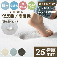 【10％OFF 楽天SS限定】 極厚 高反発 低反発 ラグ はっ水 厚手 25mm 1.5畳 2畳 3畳 200×300 1畳 ラグマ…