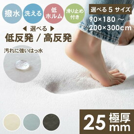 【500円OFFクーポン マラソン限定】 極厚 低反発ラグ はっ水 厚手 25mm 1.5畳 2畳 3畳 200×300 低反発 ラグ ラグマット カーペット もっちり ふわふわ フランネル 防音 洗える 赤ちゃん ペット おしゃれ 北欧 オールシーズン 滑り止め 撥水 ロジャー 白 アイボリー グレー
