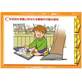 楽天市場 Sst 絵カードの通販