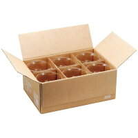 並形ビーカー(ハリオ製)50ml×6個