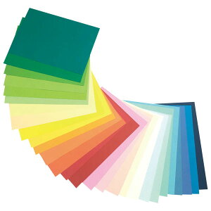 �Đ��F��p���@�S��10���@�Ђ悱 ���V���� �F��p�� ��p�� �t���b�V���J���[�i�F��p���j 4902011344479