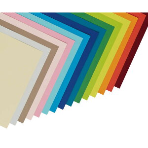 X^[J[@4؁^100@r[ V Fp p X^[J[iFpj