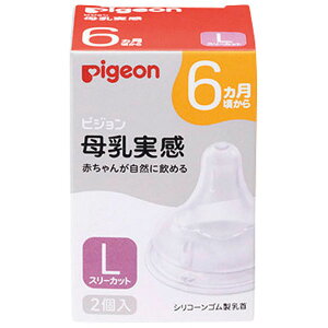 @LTCYiX[Jbgj2 iMтpj xr[pi 4902508024846