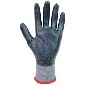 BP147@jgSw10og@S R O[u  R 4970181150282