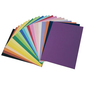 �G���W���C�J���[8��100���@�l�C�r�[�u���[