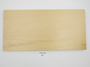 _}\ԃ|Cg10{I^yAEgbgz X Ђ ܂Ȕ 48cmc24cm3.3cm qo ؐ VR ꖇ 傫 ^ R  Lb`G Lb`pi 䏊pi WK4
