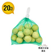青森 ひば 湯玉 20個入り ヒバ ひば湯 ヒバ湯 ボール 風呂 バスグッズ 消臭 抗菌 送料無料 湯玉