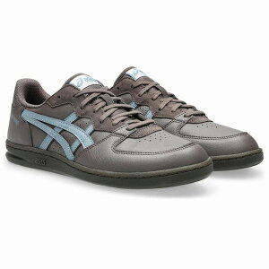 ASICS [�A�V�b�N�X] SKYHAND OG [COCOA POWDER/SLATE BLUE] �X�J�C�n���h OG �X�j�[�J�[ (�R�R�A�p�E�_�[/�X���[�g�u���[) 1203A451 202 BFA