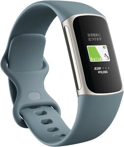 Suica�Ή� Fitbit Charge 5 �g���b�J�[ �X�`�[���u���[rt831