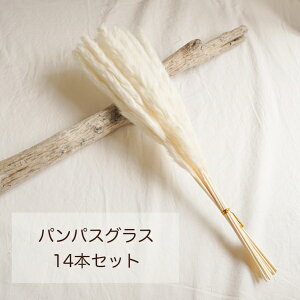 yppXOX/14{ZbgzhCt[ ppX zCgJ[ N[J[ VbvfBXvC AeB[N Ԃ ~jTCY ppXOXhC XXL ppXPi