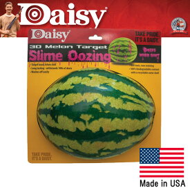 【ターゲット】デイジー スライムが出てくる3Dスイカ風ターゲット【アメリカ製（Made in USA）】【Daisy】