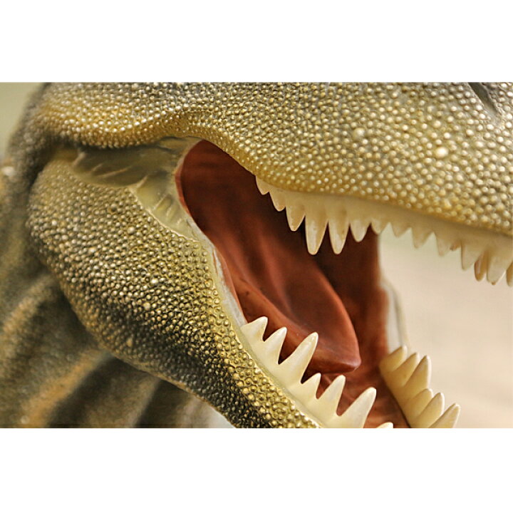 楽天市場】高品質 ティラノサウルス T-REX ウォールハンギング オブジェ  壁掛インテリア 恐竜 像 フィギュア インテリアアイテム :  MANCAVE 【マンケイブ】