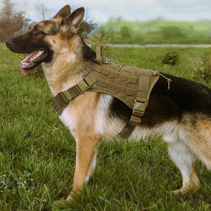 楽天市場 犬用ハーネス タクティカル ドッグベスト Xlサイズ コヨーテカラー Excellent Elite Spanker アウトドア トレーニング 狩猟 レジャー Mancave マンケイブ