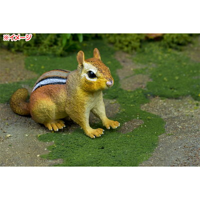 楽天市場 シマリス ベイビー オブジェ インテリア 雑貨 リス 動物 かわいい ガーデニング 庭 Mancave マンケイブ