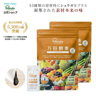 【クーポン配布中＆10倍P】万田酵素 ジンジャー 2袋 ( 分包 ・ペースト/約2ヵ月分) 万田酵素 しょうが 野…