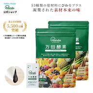 【最大3,000円クーポン配布中＆10倍P】万田酵素 スタンダード2袋 (分包・ペースト/約2ヵ月分) 万田発酵 …