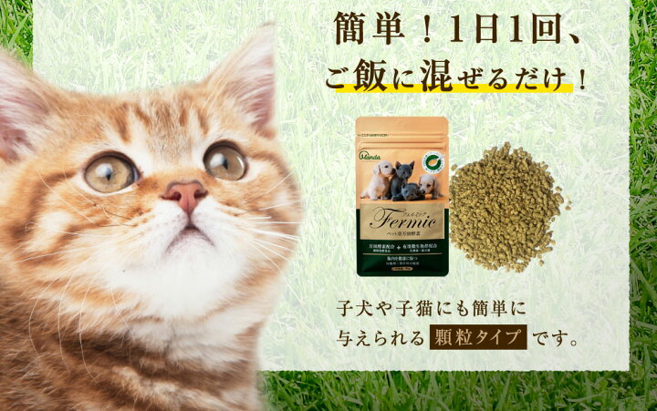 楽天市場】【公式】 ペット用万田酵素 フェルミック 15g | 万田発酵 万田酵素 顆粒 粒タイプ 犬 いぬ イヌ 猫 ねこ ネコ 酵素 発酵食品 国産 植物発酵エキス 保存料不使用 Fermic 人気 おすすめ ペット 動物 健康 ヘルシー 野菜 乳酸菌 発酵 手軽 : 楽天市場】【公式】 ペット用万田酵素 フェルミック 15g | 万田発酵 万田酵素 顆粒 粒タイプ 犬 いぬ イヌ 猫 ねこ ネコ 酵素 発酵食品 国産 植物発酵エキス 保存料不使用 Fermic 人気 おすすめ ペット 動物 健康 ヘルシー 野菜 乳酸菌 発酵 手軽 :