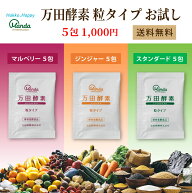 1000円ポッキリ 送料無料 【公式】 万田酵素 5包 お試し 粒タイプ 選べる3つの味 万田 健康 美容 果物 野…