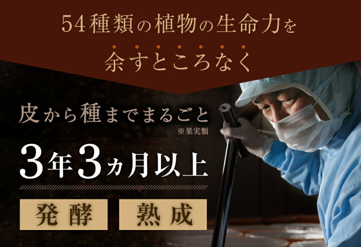 万田発酵 万田酵素 2 5g 31包入 Mulberry ペーストタイプ 絶品 Mulberry