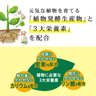 楽天市場 植物用 万田酵素ストレートタイプ 900ml 送料無料 植物 活力液 スプレー 万田酵素 万田発酵 公式 観葉植物 野菜 花 園芸 万田発酵 楽天市場店