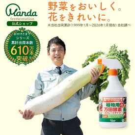 【クーポン配布中＆10倍P】植物用万田酵素 ストレートタイプ ( 900ml ) スプレー 万田酵素 ストレート 観葉植物 野菜 花 園芸 ガーデニング 植物 活力液 手軽 手入れ 簡単 家庭菜園 人気 栄養 元気 初心者