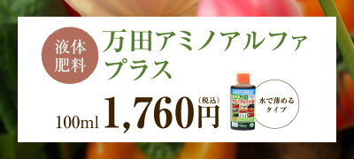 万田アミノアルファプラス100ml液体肥料万田酵素万田発酵【公式】植物性原材料マグネシウム観葉植物野菜花園芸