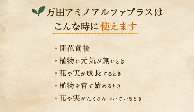 万田アミノアルファプラス100ml液体肥料万田酵素万田発酵【公式】植物性原材料マグネシウム観葉植物野菜花園芸