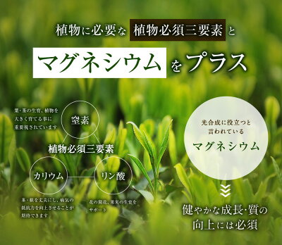 万田アミノアルファプラス100ml液体肥料万田酵素万田発酵【公式】植物性原材料マグネシウム観葉植物野菜花園芸