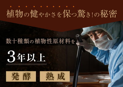 万田アミノアルファプラス100ml液体肥料万田酵素万田発酵【公式】植物性原材料マグネシウム観葉植物野菜花園芸