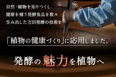 万田アミノアルファプラス100ml液体肥料万田酵素万田発酵【公式】植物性原材料マグネシウム観葉植物野菜花園芸