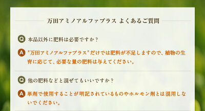 万田アミノアルファプラス100ml液体肥料万田酵素万田発酵【公式】植物性原材料マグネシウム観葉植物野菜花園芸