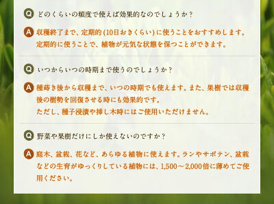 万田アミノアルファプラス100ml液体肥料万田酵素万田発酵【公式】植物性原材料マグネシウム観葉植物野菜花園芸