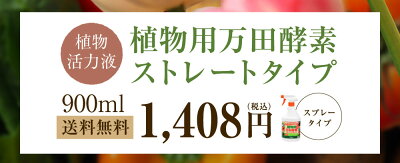 植物用万田酵素ストレートタイプ900ml【送料無料】植物活力液スプレー万田酵素万田発酵【公式】観葉植物野菜花園芸