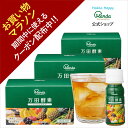 【クーポン割引+10倍P】公式 万田酵素 ドリンクタイプ 3箱 (計30本/約30日分) 万田酵素ドリンク ファスティング 万田発酵 美味しい 発酵食品 健康 健康食品 人気 栄養素 野菜 飲みやすい 【お買い物マラソン期間中】