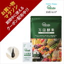 【クーポン割引+10倍P】公式 万田酵素 スタンダード （ 分包 ・ ペースト /約1ヶ月分) 発酵食品 健康 サプリ 野菜 果物 植物性 美容 ヘルシ— 発酵 ビタミン 保存料不使用 送料無料 妊婦 【お買い物マラソン期間中】