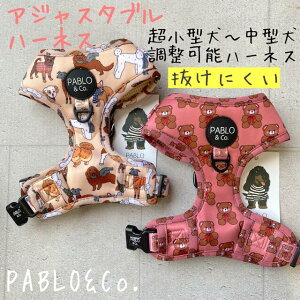 y{㗤zPABLO&Co. n[lX ɂ harness ߉\ AWX^[  pi  p pi    Jt  IV ybgObY U  bV pu@t