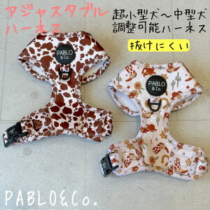 y{㗤zPABLO&Co. n[lX ɂ harness ߉\ AWX^[  pi  p pi    Jt  IV ybgObY U  bV pu t