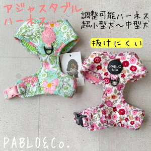 y{㗤zPABLO&Co. n[lX ɂ harness ߉\ AWX^[  pi  p pi    Jt  IV ybgObY U  bV pu t