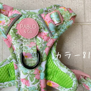 PABLO&Co. n[lX nht harness ߉\ AWX^[  pi  p pi   J[ [h   Jt  IV ybgObY U pu j̎q 