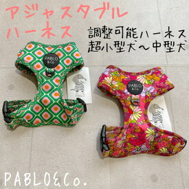 PABLO&Co. ハーネス harness 調節可能 アジャスター 犬 犬用品 犬具 犬用 犬用品 胴輪 首輪 カラー リード 柄 総柄 カラフル おしゃれ オシャレ ペットグッズ 散歩 速乾 メッシュ パブロ　フィット　抜けにくい　濡らせる 超小型犬 小型犬 中型犬