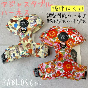 y{㗤zPABLO&Co. n[lX ɂ harness ߉\ AWX^[  pi  p pi    Jt  IV ybgObY U  bV pu t