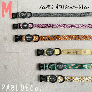 PABLOCo.  J[ MTCY  pi L Lpi ybg ybgObY U n[lX  [h   Jt  IV pu