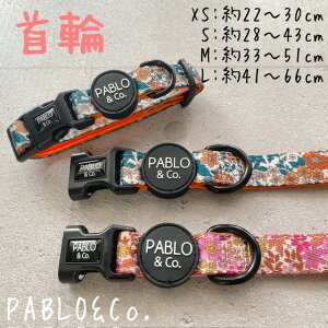 PABLO&Co.  J[  pi L Lpi ybg ybgObY U n[lX  [h   ԕ Jt  IV pu ^ ^ ^